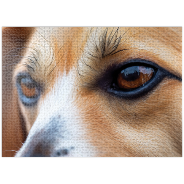 puzzleplate Macro Photography: Good Boy Dog Eye 1000 Jigsaw Puzzle