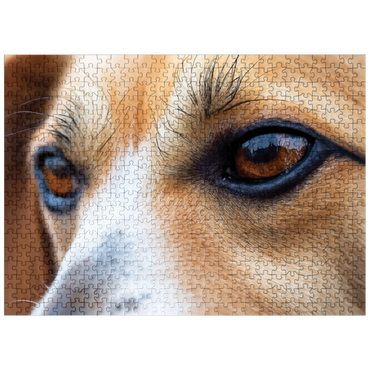 puzzleplate Macro Photography: Good Boy Dog Eye 500 Jigsaw Puzzle