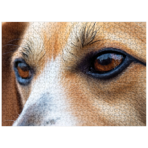 puzzleplate Macro Photography: Good Boy Dog Eye 500 Jigsaw Puzzle