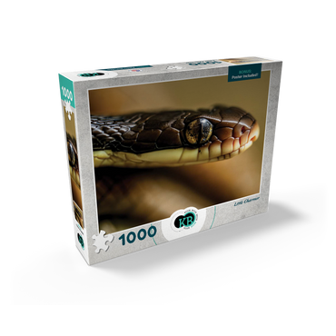 Macro Photography: Little Charmer Snake Reptile Eye 1000 Jigsaw Puzzle box view2