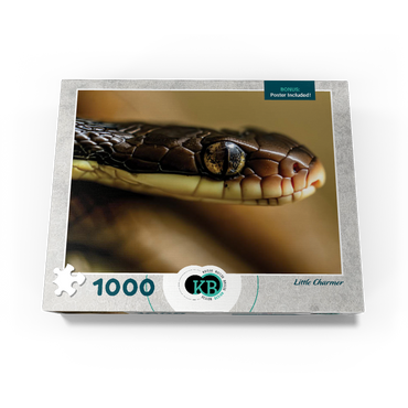 Macro Photography: Little Charmer Snake Reptile Eye 1000 Jigsaw Puzzle box view3