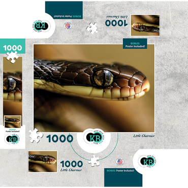 Macro Photography: Little Charmer Snake Reptile Eye 1000 Jigsaw Puzzle box 3D Modell