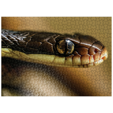 puzzleplate Macro Photography: Little Charmer Snake Reptile Eye 500 Jigsaw Puzzle