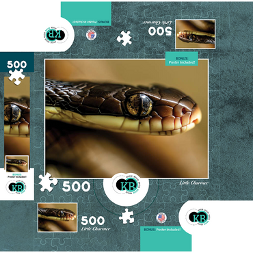 Macro Photography: Little Charmer Snake Reptile Eye 500 Jigsaw Puzzle box 3D Modell