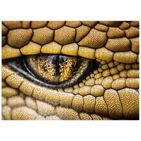 puzzleplate Macro Photography: Sly Stare Snake Reptile Eye 500 Jigsaw Puzzle