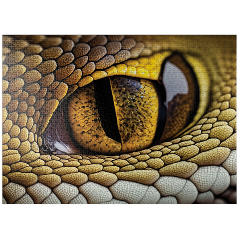 puzzleplate Macro Photography: Stealth Stare Snake Reptile Eye 1000 Jigsaw Puzzle