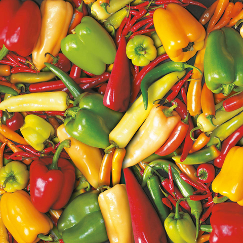 Piatnik: Paprika 1000 Jigsaw Puzzle 3D Modell