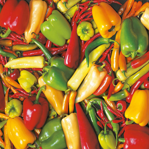 Piatnik: Paprika 100 Jigsaw Puzzle 3D Modell