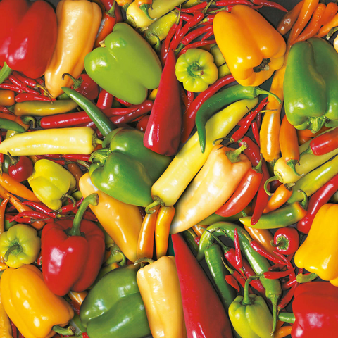 Piatnik: Paprika 500 Jigsaw Puzzle 3D Modell