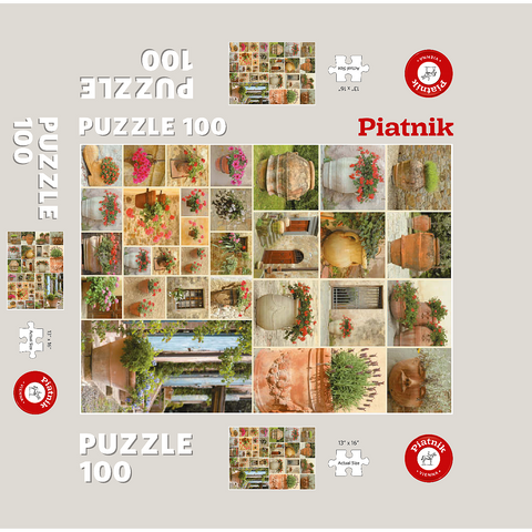 Piatnik: Flower pots 100 Jigsaw Puzzle box 3D Modell