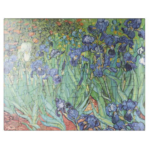 puzzleplate Piatnik: Irises 100 Jigsaw Puzzle