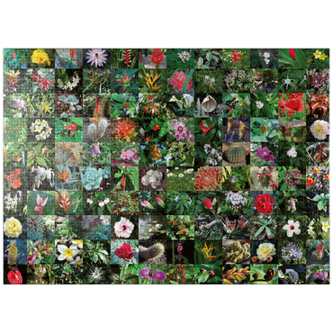 puzzleplate Piatnik: Blossoms / Blüten 1000 Jigsaw Puzzle