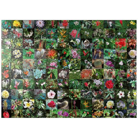 puzzleplate Piatnik: Blossoms / Blüten 1000 Jigsaw Puzzle