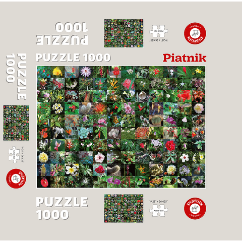 Piatnik: Blossoms / Blüten 1000 Jigsaw Puzzle box 3D Modell