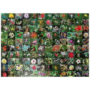 puzzleplate Piatnik: Blossoms / Blüten 500 Jigsaw Puzzle