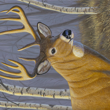 Majestic White-Tailed Deer in Birch Forest 1000 Jigsaw Puzzle 3D Modell