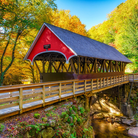 Autumn in Flume Gorge 500 Jigsaw Puzzle 3D Modell
