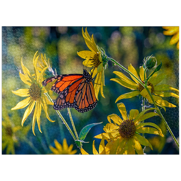 puzzleplate The Monarch and the Sunflower 1000 Jigsaw Puzzle