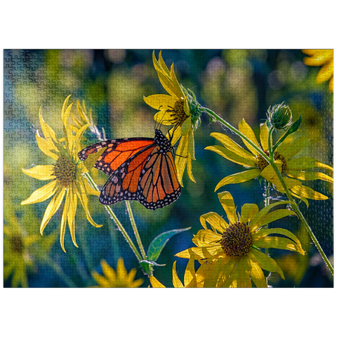 puzzleplate The Monarch and the Sunflower 1000 Jigsaw Puzzle