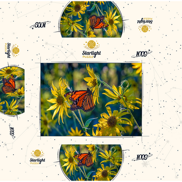 The Monarch and the Sunflower 1000 Jigsaw Puzzle box 3D Modell