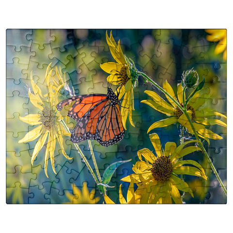 puzzleplate The Monarch and the Sunflower 100 Jigsaw Puzzle