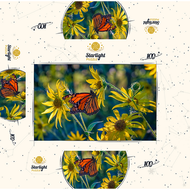The Monarch and the Sunflower 100 Jigsaw Puzzle box 3D Modell