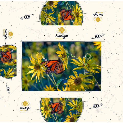 The Monarch and the Sunflower 100 Jigsaw Puzzle box 3D Modell