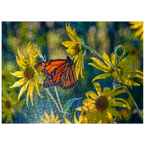 puzzleplate The Monarch and the Sunflower 500 Jigsaw Puzzle