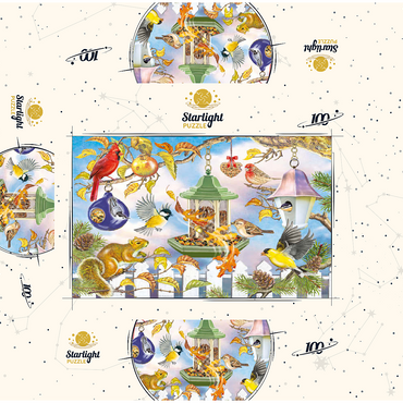 Backyard Birds In Autumn 100 Jigsaw Puzzle box 3D Modell