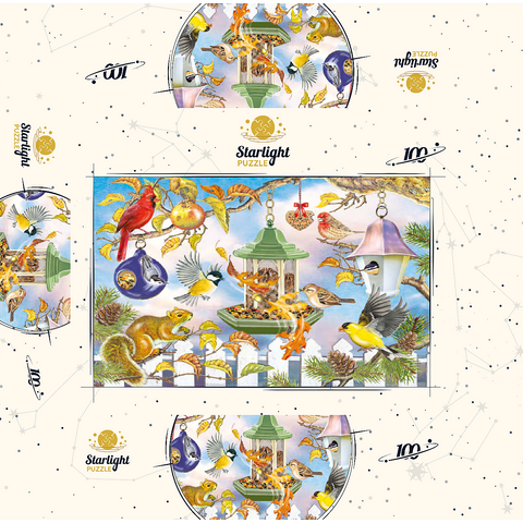Backyard Birds In Autumn 100 Jigsaw Puzzle box 3D Modell