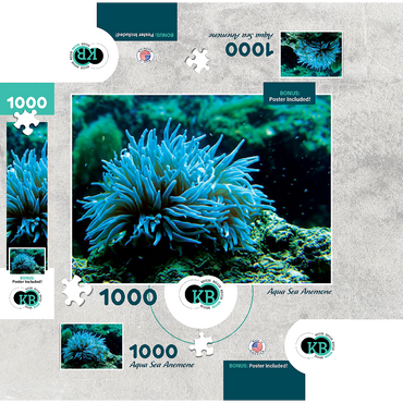 Sea Life Photography: Aqua Sea Anemone 1000 Jigsaw Puzzle box 3D Modell