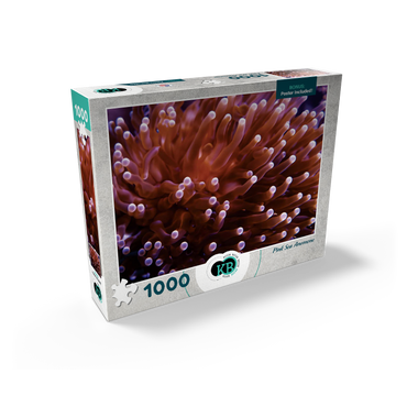 Sea Life Photography: Pink Sea Anemone 1000 Jigsaw Puzzle box view2