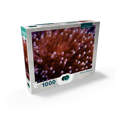 Sea Life Photography: Pink Sea Anemone 1000 Jigsaw Puzzle box view2