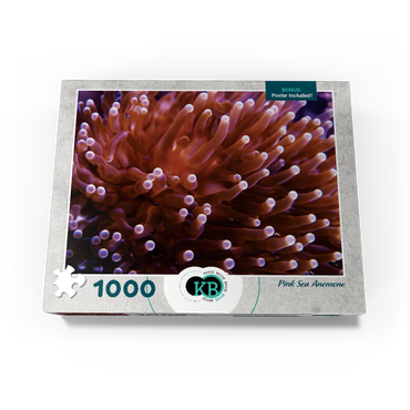 Sea Life Photography: Pink Sea Anemone 1000 Jigsaw Puzzle box view3