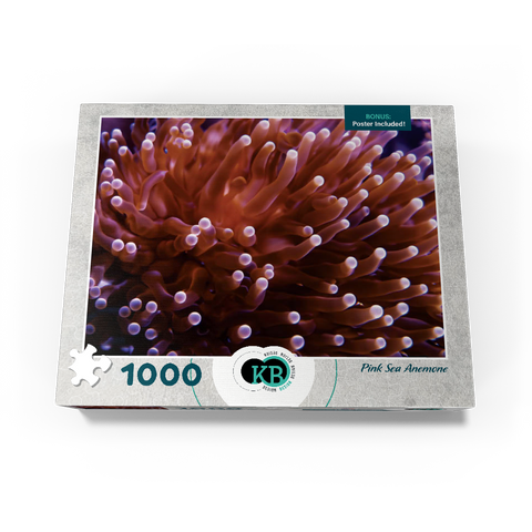 Sea Life Photography: Pink Sea Anemone 1000 Jigsaw Puzzle box view3