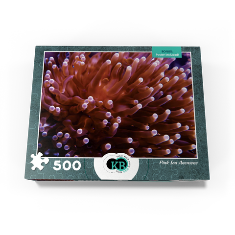 Sea Life Photography: Pink Sea Anemone 500 Jigsaw Puzzle box view3