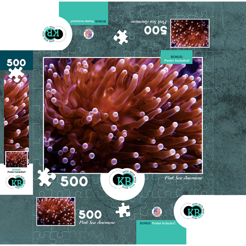 Sea Life Photography: Pink Sea Anemone 500 Jigsaw Puzzle box 3D Modell