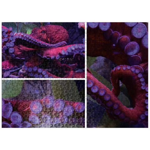 puzzleplate Sea Life Photography: Octopus Collage 500 Jigsaw Puzzle