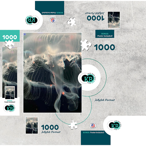 Sea Life Photography: Ocean Jellyfish 1000 Jigsaw Puzzle box 3D Modell