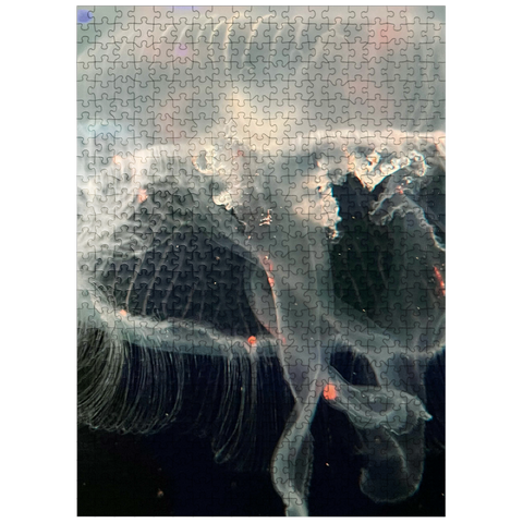 puzzleplate Sea Life Photography: Ocean Jellyfish 500 Jigsaw Puzzle