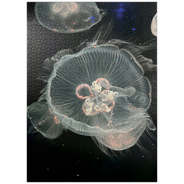 puzzleplate Sea Life Photography: Deep Sea Jellyfish Serenity 1000 Jigsaw Puzzle