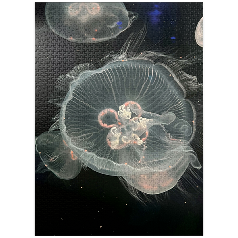 puzzleplate Sea Life Photography: Deep Sea Jellyfish Serenity 1000 Jigsaw Puzzle