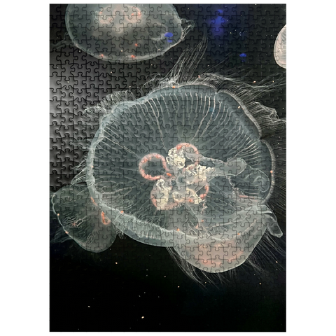 puzzleplate Sea Life Photography: Deep Sea Jellyfish Serenity 500 Jigsaw Puzzle