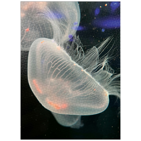 puzzleplate Sea Life Photography: Deep Blue Jellyfish Wanderer 1000 Jigsaw Puzzle