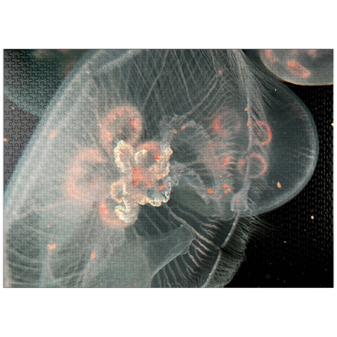 puzzleplate Sea Life Photography: Deep Blue Jellyfish Orbit 1000 Jigsaw Puzzle