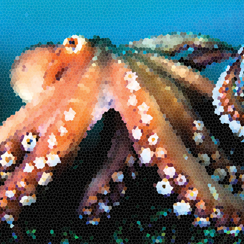 Stained Glass Abstract: Ocean Octopus Cephalopod 500 Jigsaw Puzzle 3D Modell