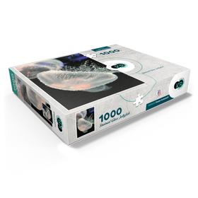 1000