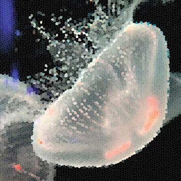 Stained Glass Abstract: Ocean Jellyfish 500 Jigsaw Puzzle 3D Modell