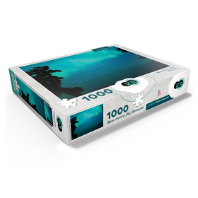 1000