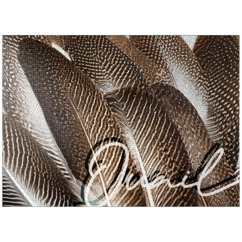 puzzleplate Animal Photography: Quail Feathers, Birds no.1 1000 Jigsaw Puzzle